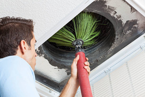 Best Home Air Vent Cleaning  in Constantine, MI